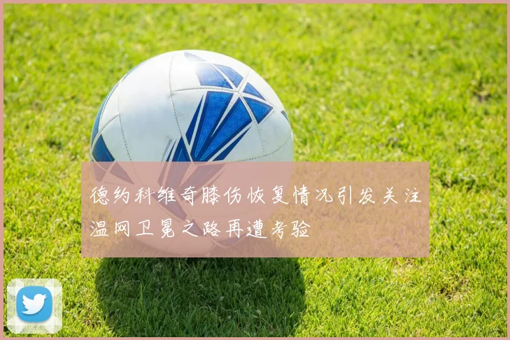 德约科维奇膝伤恢复情况引发关注温网卫冕之路再遭考验